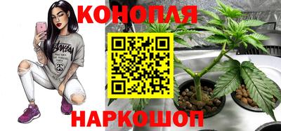 гашиш Малгобек