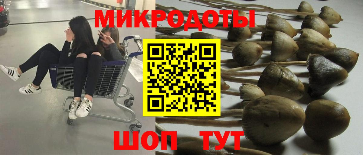 Псилоцибиновые грибы GOLDEN TEACHER  Вход с VPN  Звенигород 